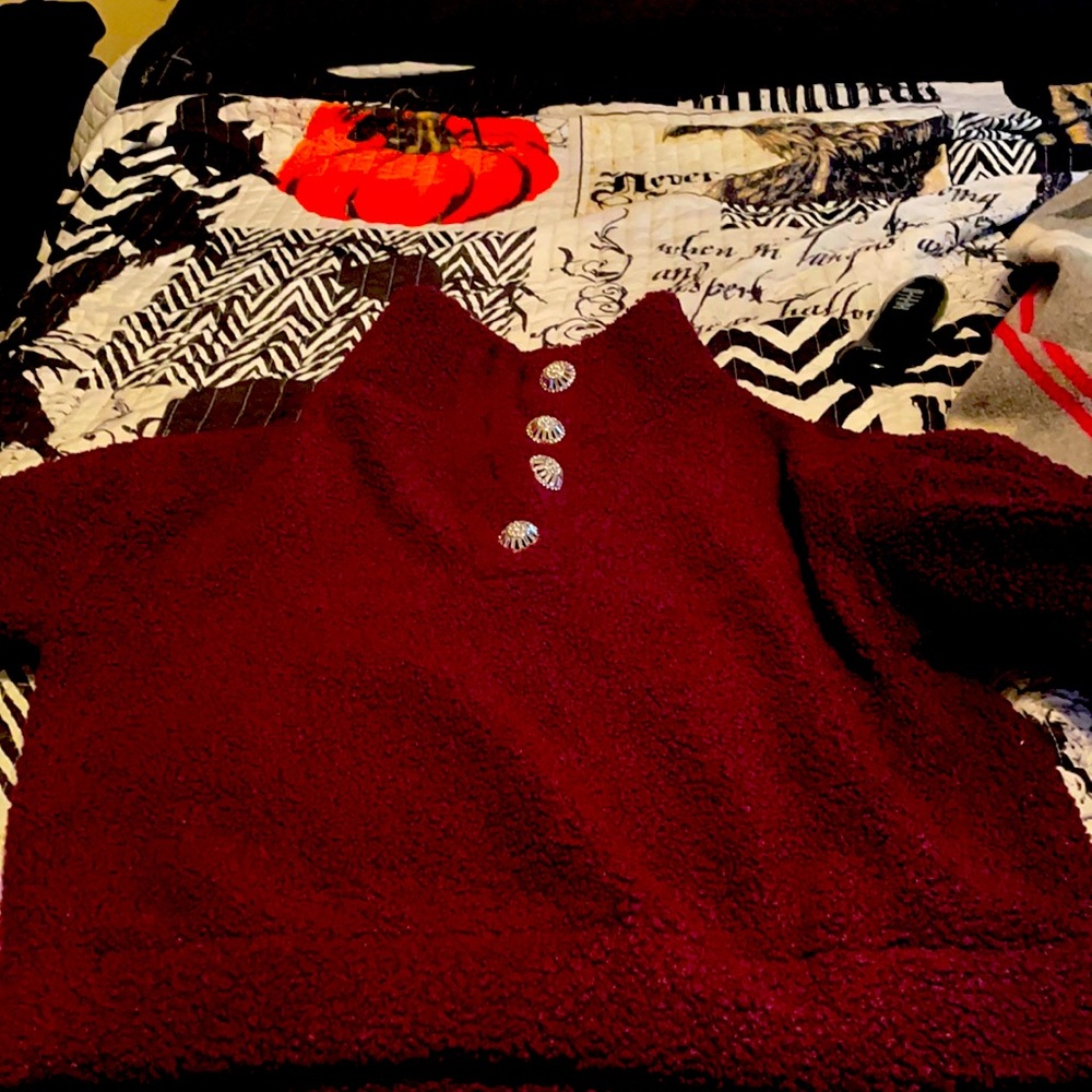 Express burgundy sherpa sweater